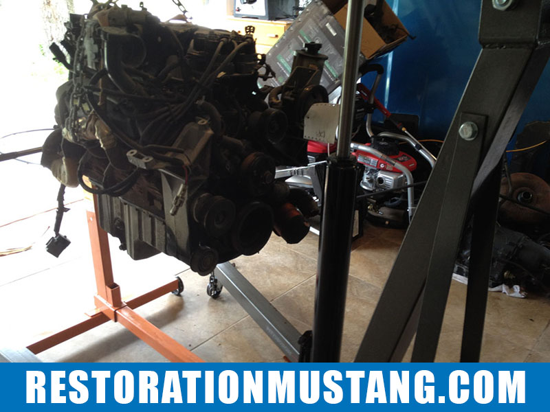 5.0 Roller Motor Found for the Mustang | 96 Explorer Donor | GT40 Heads