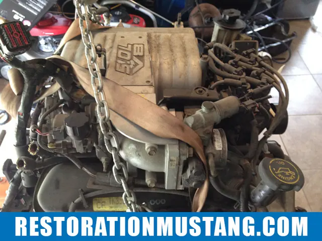 5.0 Roller Motor Found for the Mustang | 96 Explorer Donor | GT40 Heads